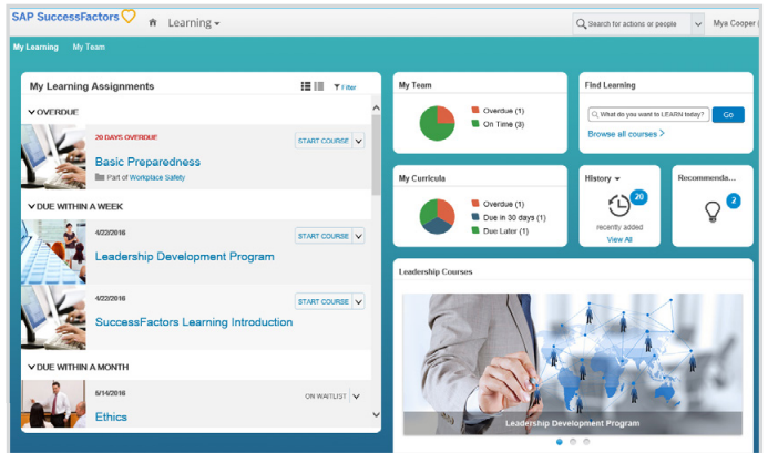 SAP SuccessFactors Talent Management | AltaFlux